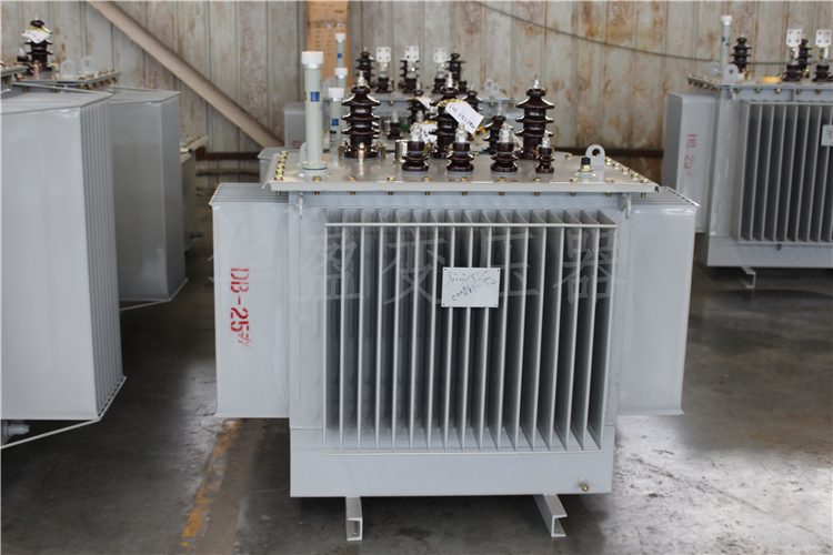 烟台S20-800kVA/10kV/0.4kV变压器